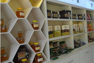 東莞特產(chǎn)展柜設計廠網(wǎng)站設計 融合地域特色與現(xiàn)代展示技術(shù)